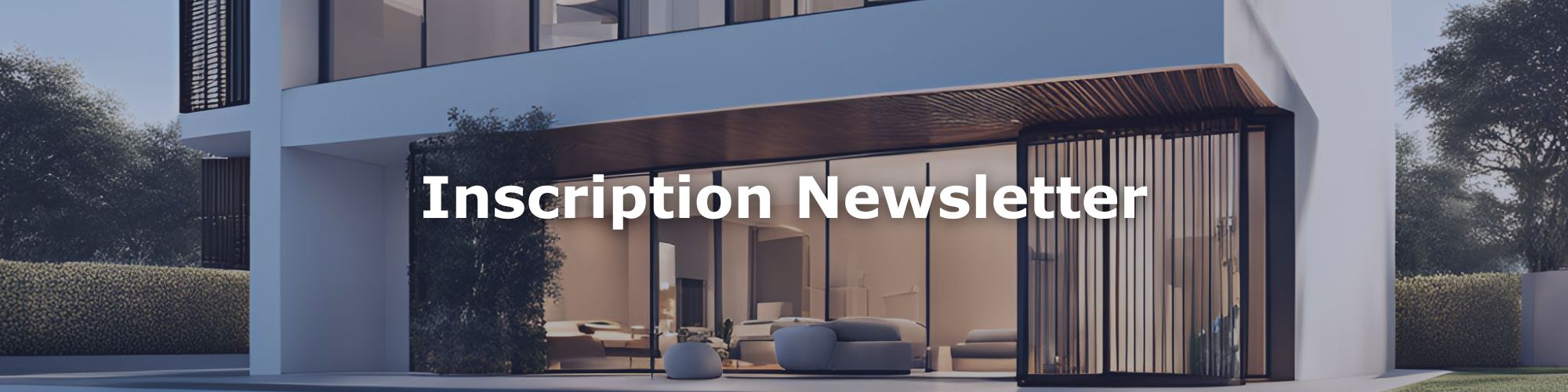 Inscription Newsletter